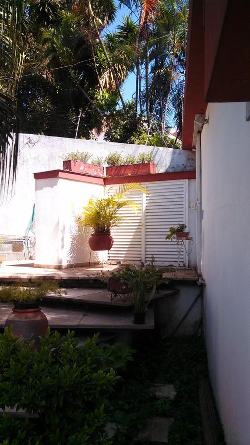 Comodita Homestay São Paulo Exterior foto
